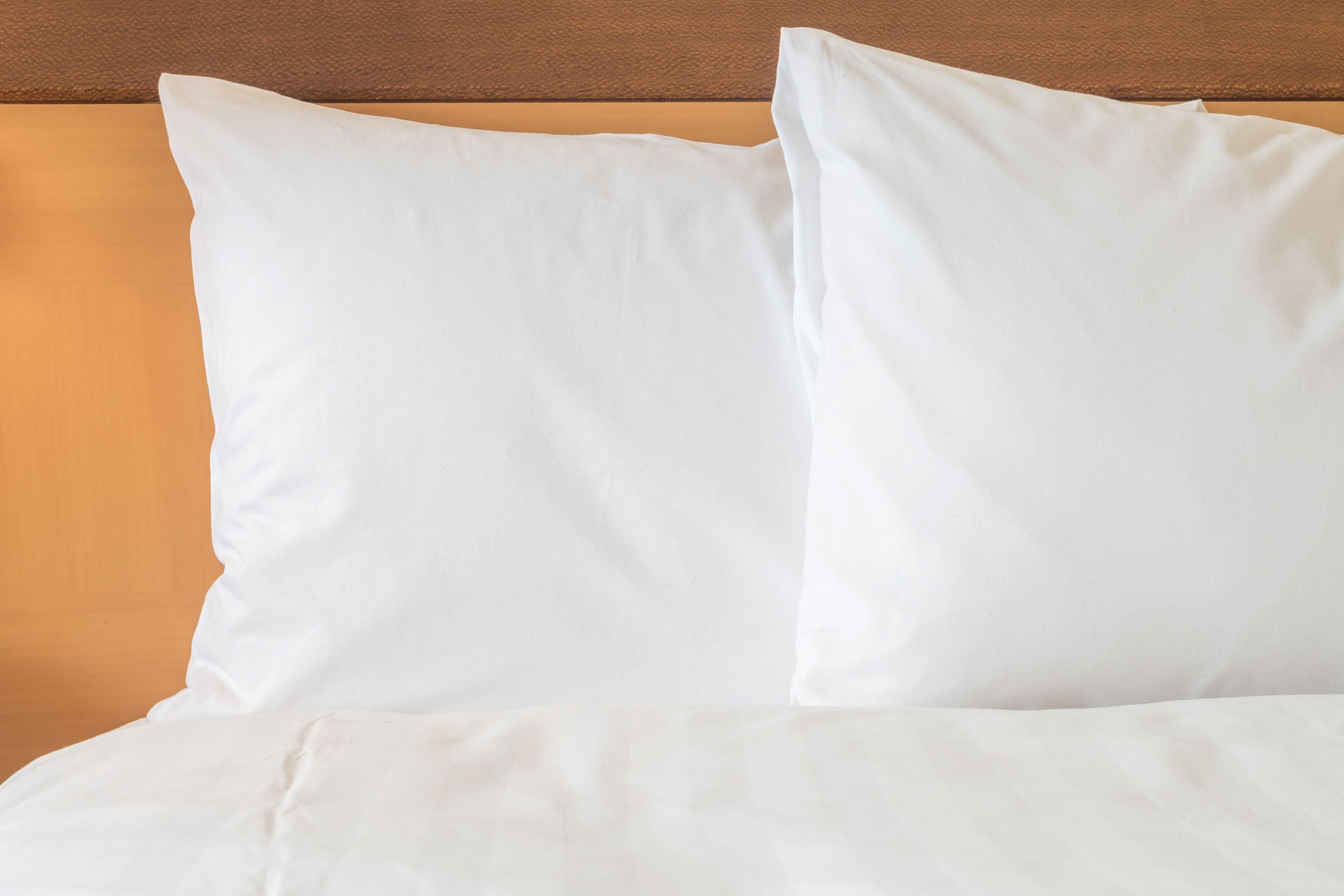 Holiday Inn Express Hotel & Suites Minot South By Ihg Buitenkant foto